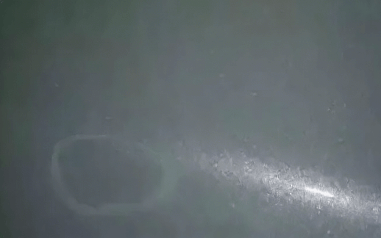 图片资源列表 (7) (1) (1).png