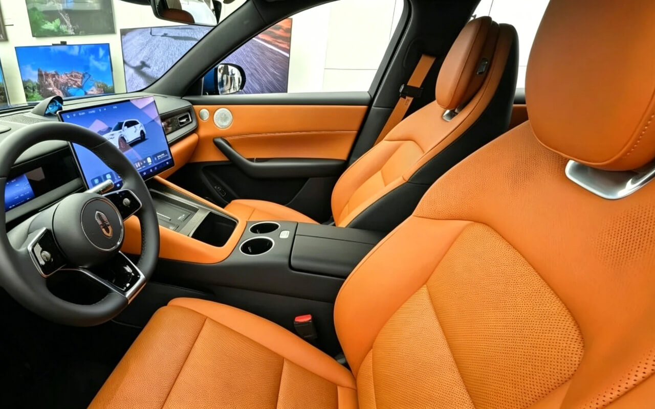 leather coating (4).jpg