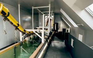 Automated E-Coat Line with DIP Tank