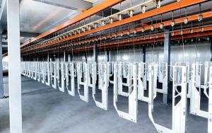 Manual Paint Production Line